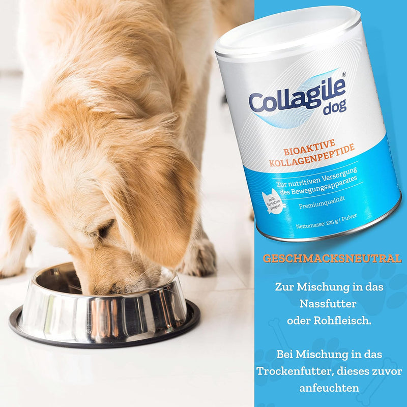 Collagile Dog Hunde Ergänzungsfutter für Knochen und Bänder Bioaktive Kollagenpeptide in Lebensmitte