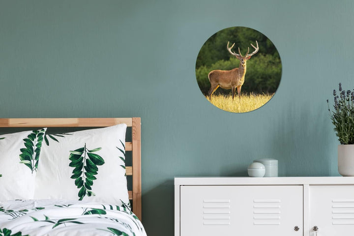 MuchoWow Wandbild Rund Wanddeko Deko Wohnzimmer Bilder 30x30 cm Hirsch - Geweih - Gras - Natur - Tie