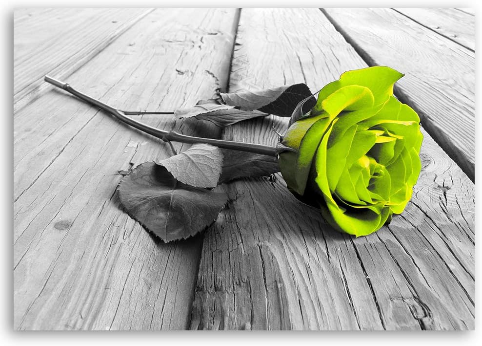 Feeby Wandbild Rose Druckbild Leinwandbild Natur Grün 100x70 cm M14563 100x70 cm, M14563 100x70 cm