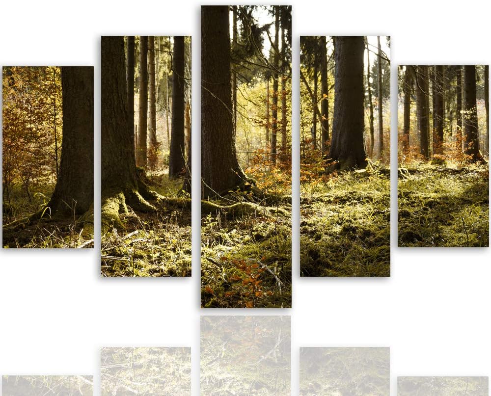 Feeby Bild auf Leinwand Natur 5 Teilig Modern Landschaft Wald Bäume orange 200x100 cm Leinwandbild 2