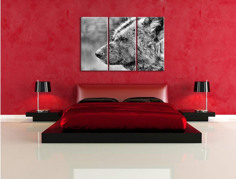 Pixxprint Hyäne im Seitenprofil als Leinwandbild/Grösse: 3 Teilig (120x80) cm/Wandbild/Kunstdruck/fe
