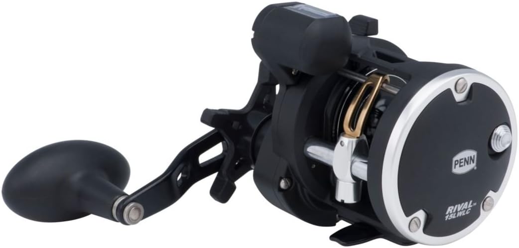 PENN Rival Level Wind Multirolle für Boote und Kajaks – Hochleistungs-Salzwasserrolle für Dorsch, Ba