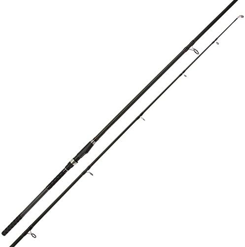 2 x Welsrute Waller Rute 3,00 Meter 200g + Rolle BM 7000 mit Schnur