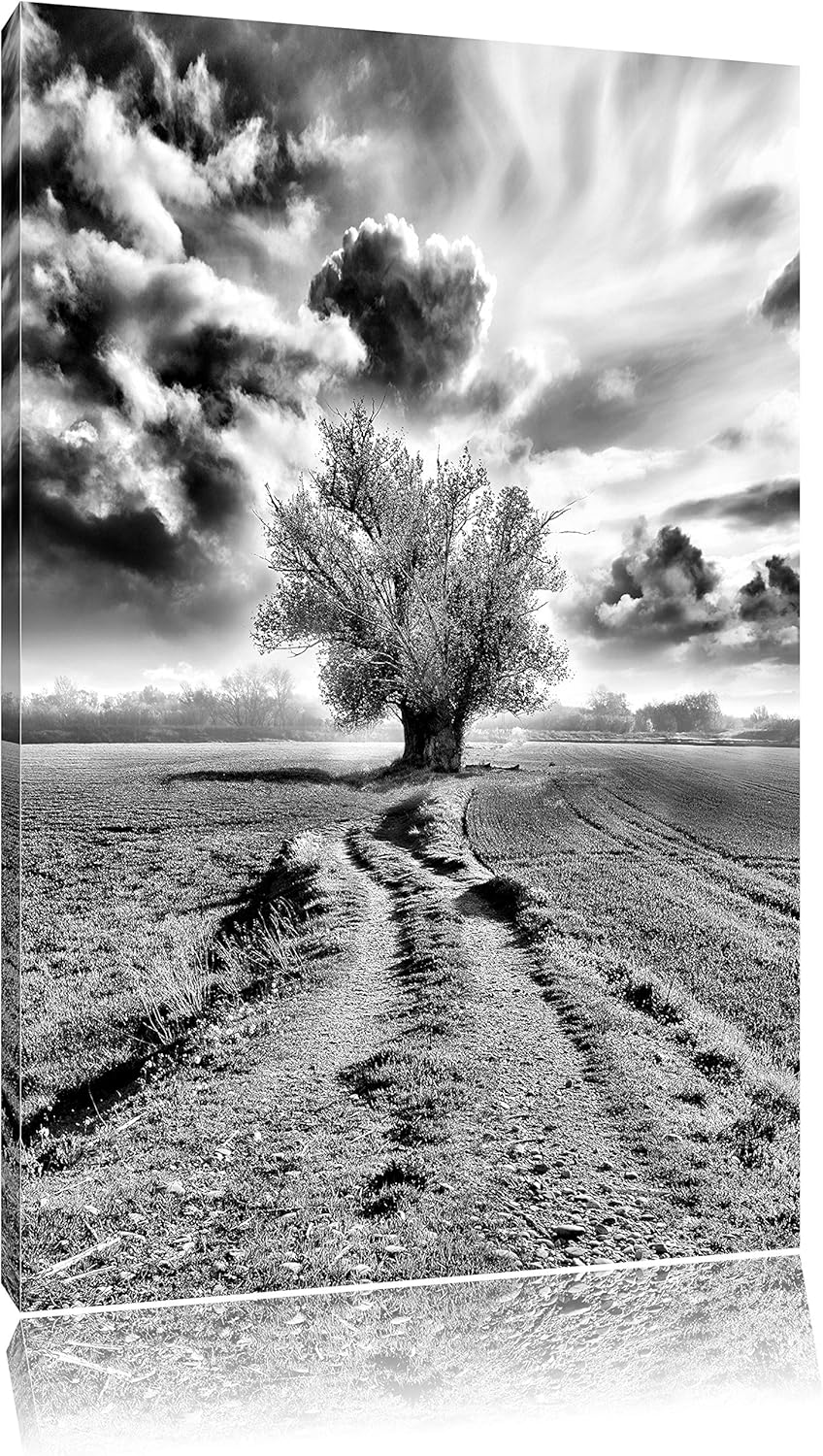 Pixxprint Pinkes Feld mit pinkem Baum als Leinwandbild | Grösse: 100x70 | Wandbild| Kunstdruck | fer