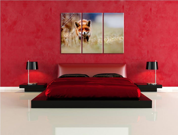Schleichender Fuchs Spezial 3-Teiler Leinwandbild 120x80 Bild auf Leinwand, XXL riesige Bilder ferti