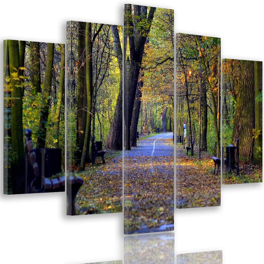 Leinwandbild Landschaft 5 TLG Bild Kunstdruck Park Allee Herbst bunt 100x70 cm Leinwandbild 100x70 c