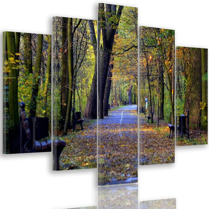 Leinwandbild 5 Teilig Landschaft Bild Wanddeko Park Allee Herbst bunt 200x100 cm Leinwandbild 200x10