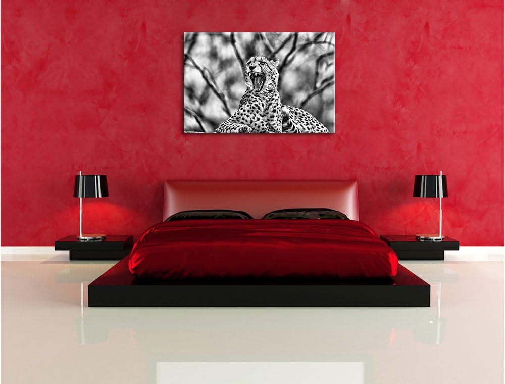 Monocrome, Gepard gähnt, Format: 100x70 auf Leinwand, XXL riesige Bilder fertig gerahmt mit Keilrahm