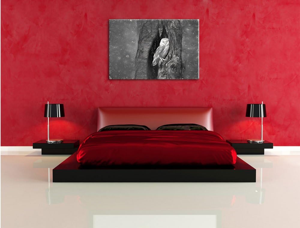 Pixxprint Schleiereule in der Baumhöhle Kunst Kohle Effekt, Format: 100x70 auf Leinwand, XXL riesige