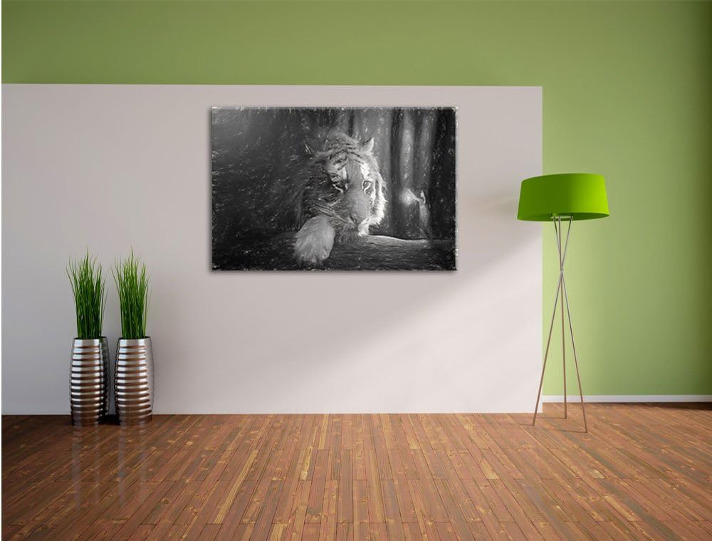 Pixxprint Eine Frau und EIN Riesen-Tiger / 100x70cm Leinwandbild bespannt auf Holzrahmen/Wandbild Ku