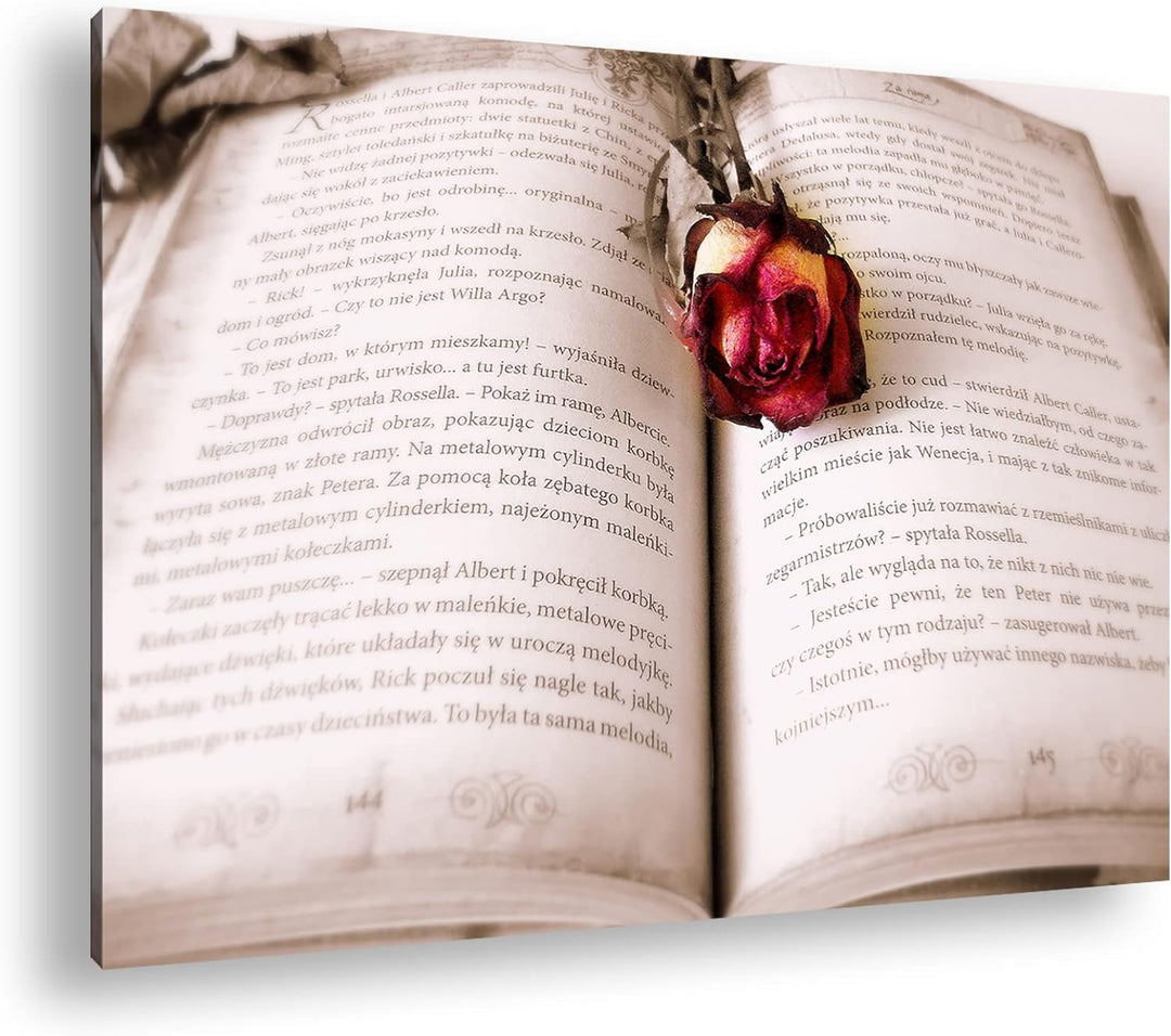 deyoli altes Buch mit roter Rose im Format: 80x60 als Leinwandbild, Motiv fertig gerahmt auf Echthol