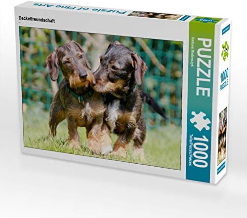 CALVENDO Puzzle Dackelfreundschaft 1000 Teile Lege-Grösse 64 x 48 cm Foto-Puzzle Bild von Barbara Mi