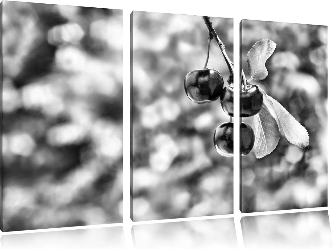 Pixxprint Kirsche als Leinwandbild/Grösse: 3 Teilig (120x80) cm/Wandbild/Kunstdruck/fertig bespannt