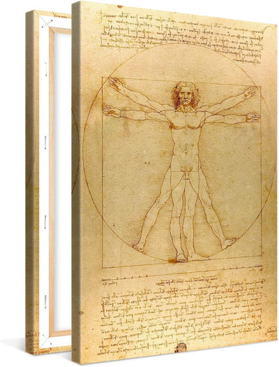 PICANOVA – Leonardo da Vinci – Vitruvian Man 40x60cm – Bild auf Leinwand – Premium Kunstdruck Auf 2c