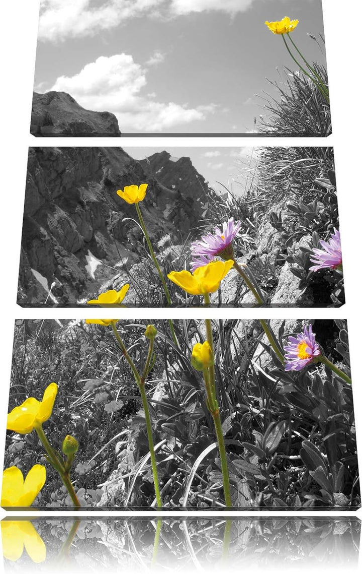 Pixxprint Traumhafte Blumenwiese im Frühling schwarz/weiss 3-Teiler Leinwandbild 120x80 Bild auf Lei
