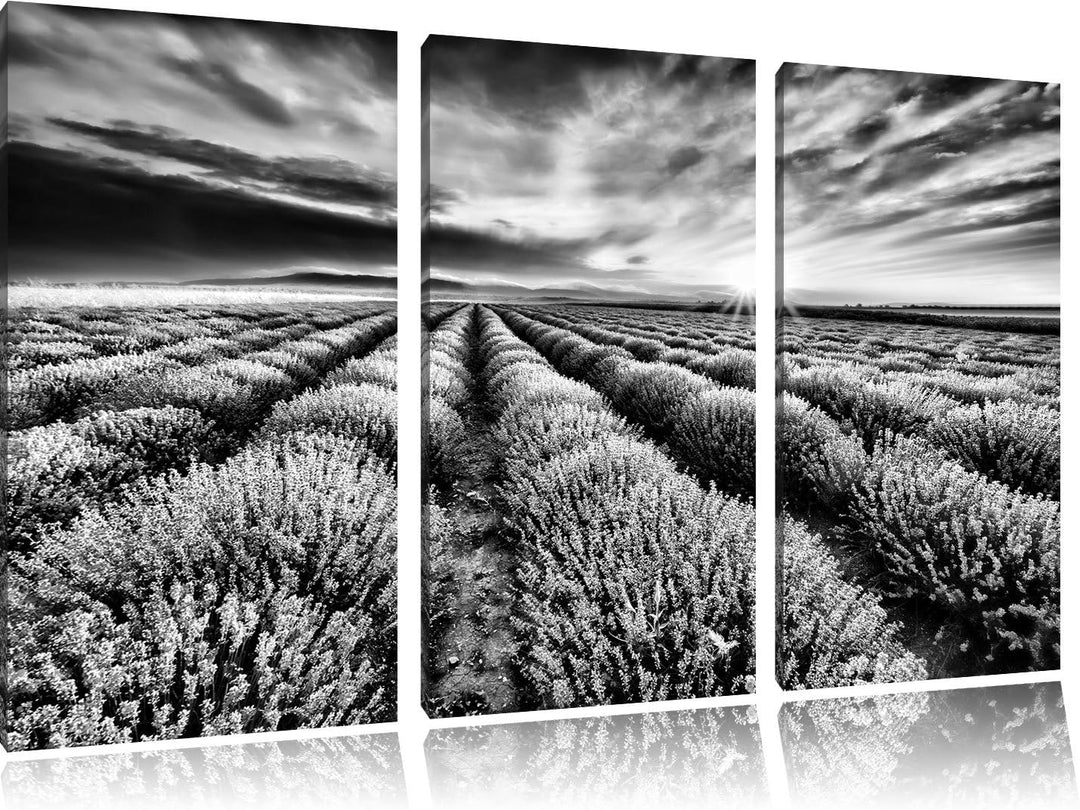 Pixxprint Traumhafte Lavendel Provence als Leinwandbild/Grösse: 3 Teilig (120x80) cm/Wandbild/Kunstd