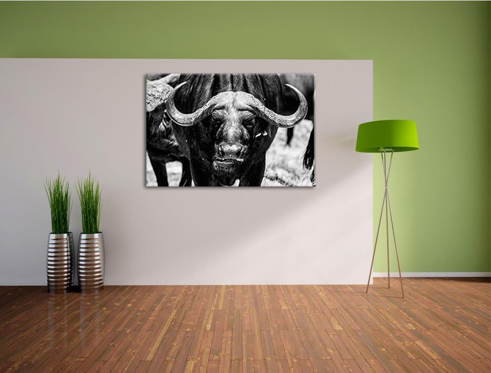 Wasserbüffel Schwarz/weiss Format: 100x70 auf Leinwand, XXL riesige Bilder fertig gerahmt mit Keilra
