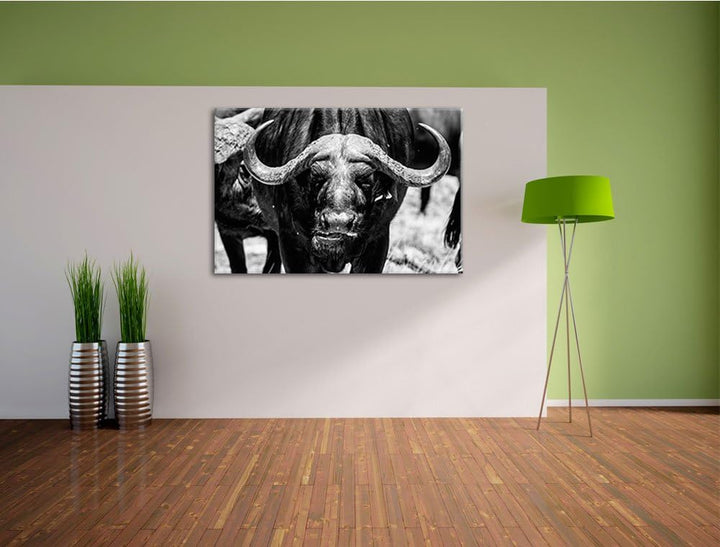 Wasserbüffel Schwarz/weiss Format: 100x70 auf Leinwand, XXL riesige Bilder fertig gerahmt mit Keilra