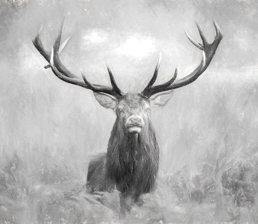 Grosser Hirsch im Feld Kunst Herdabdeckplatte & Spritzschutz aus Echtglas | Für Herd-Kochfelder | 60