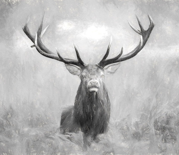 Grosser Hirsch im Feld Kunst Herdabdeckplatte & Spritzschutz aus Echtglas | Für Herd-Kochfelder | 60