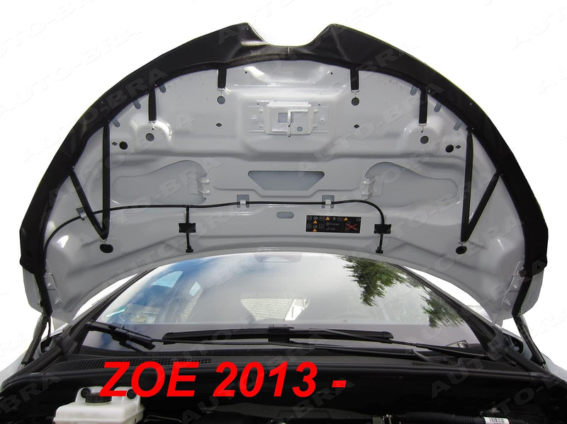 Auto-Bra AB3-00660 Carbon Optik kompatibel mit Renault ZOE Bj. ab 2013 Haubenbra Steinschlagschutz T