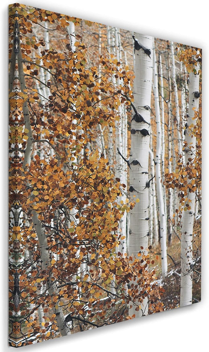Feeby Bild auf Leinwand Birke Wald Landschaft XXL 60x90 cm 1Teilig Modern Vlies Bilder Leinwandbilde