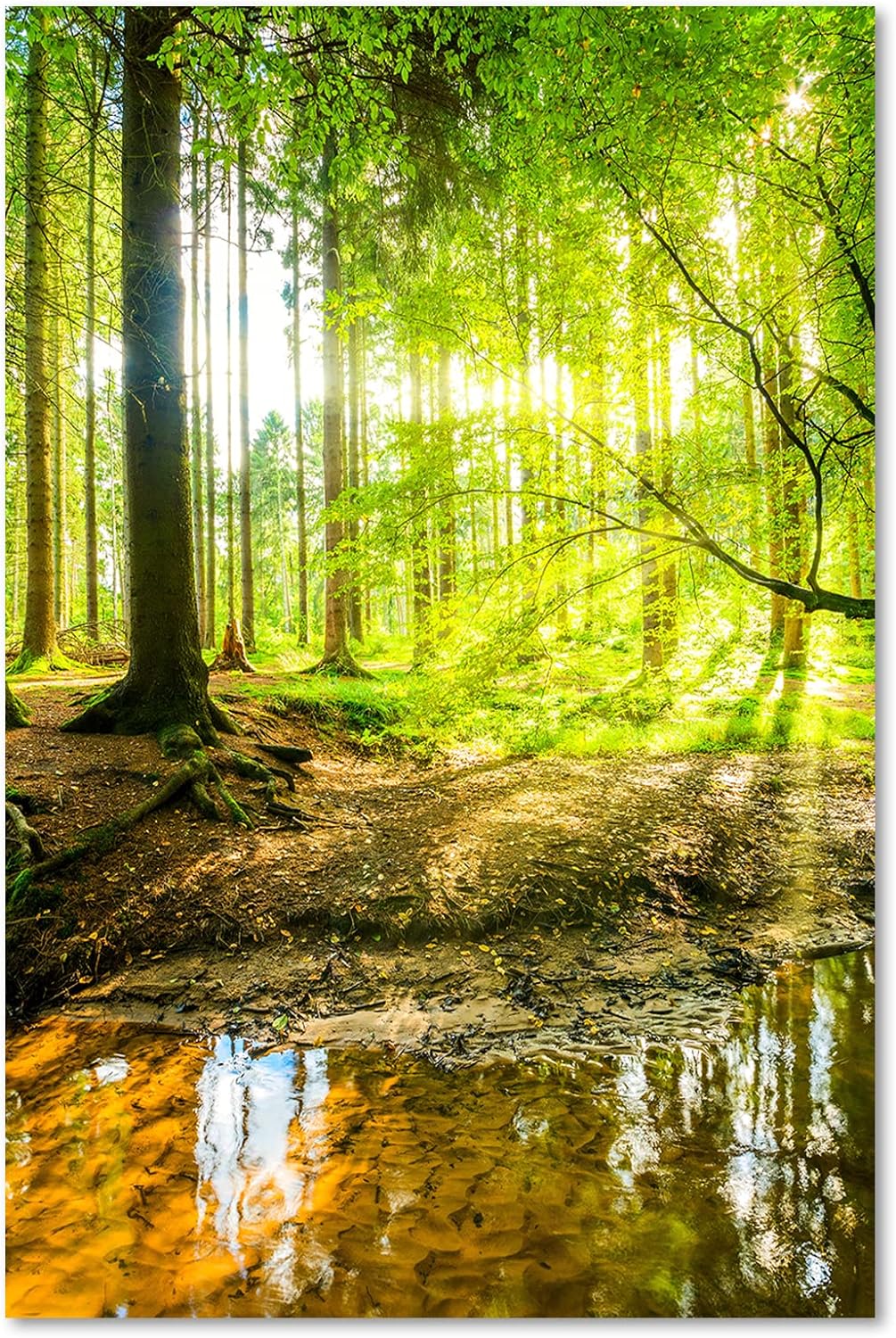 Feeby Vlies Leinwandbild Strom Landschaft Sonnenstrahlen 60x90 cm Druckbild Wandbild Wanddekoration