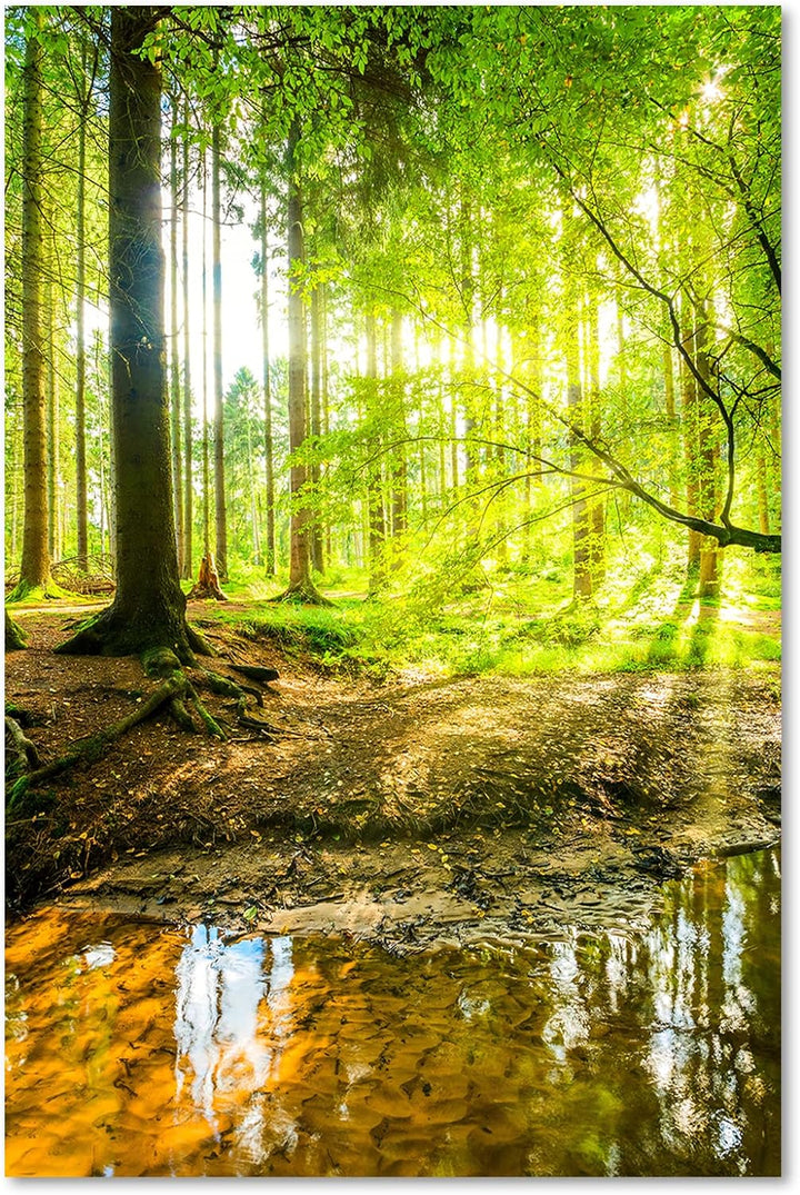 Feeby Vlies Leinwandbild Strom Landschaft Sonnenstrahlen 60x90 cm Druckbild Wandbild Wanddekoration