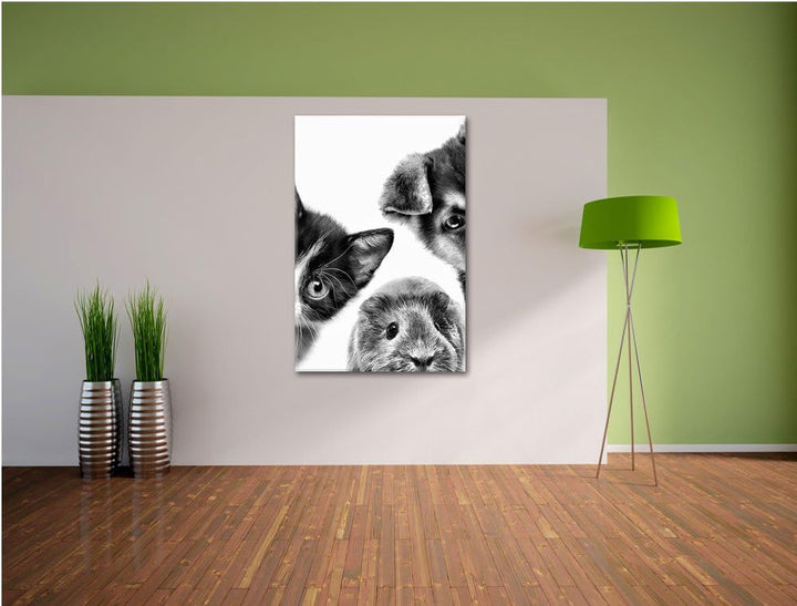 Pixxprint Trio Hund Katze Meerschwein / 100x70cm Leinwandbild bespannt auf Holzrahmen/Wandbild Kunst