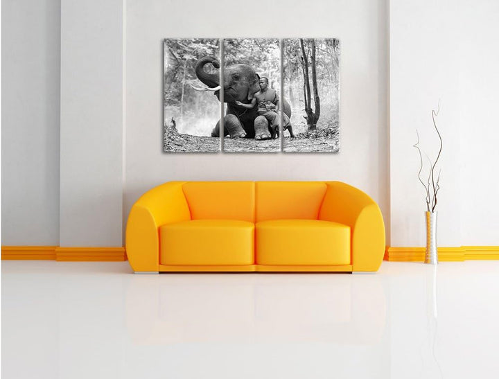 Pixxprint Mönch mit Elefanten im Wald / 3-Teilig/Gesamtmass 120cm Leinwandbild bespannt auf Holzrahm