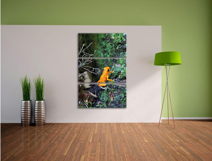 Pixxprint hochgiftiger Kleiner Frosch als Leinwandbild/Grösse: 3 Teilig (120x80) cm/Wandbild/Kunstdr