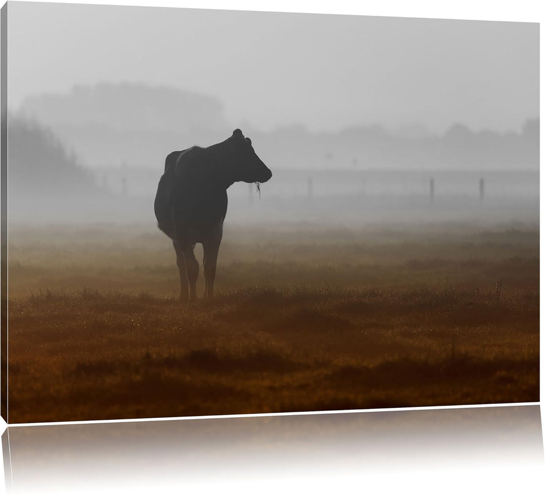 Pixxprint eine fressende Kuh auf der Weide als Leinwandbild/Grösse: 100x70 / Wandbild/Kunstdruck/fer