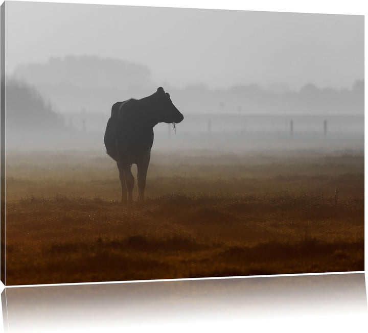 Pixxprint eine fressende Kuh auf der Weide als Leinwandbild/Grösse: 100x70 / Wandbild/Kunstdruck/fer