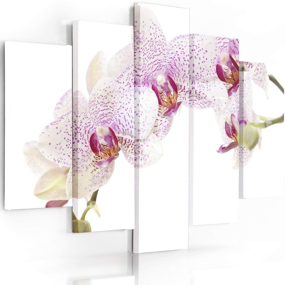 Feeby Frames, Leinwandbild, Bilder, Wand Bild - 5 Teile - Wandbilder, Kunstdruck, 250x120 cm, Typ A,