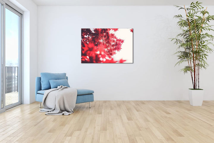 deyoli durch das rotschimmernde Blättergestrüpp Format: 80x60 als Leinwandbild, Motiv fertig gerahmt