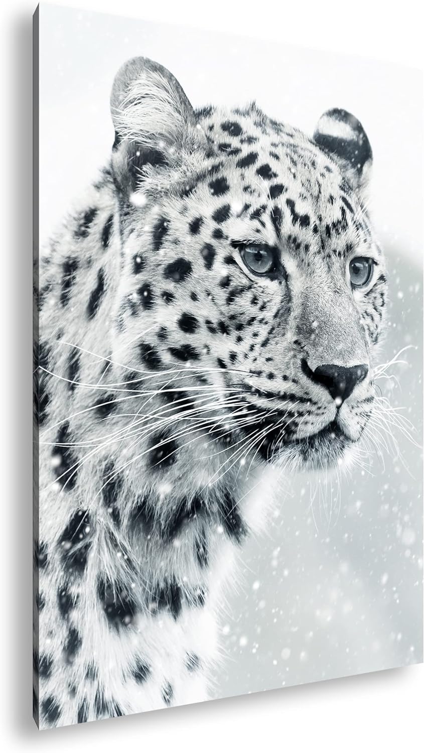 deyoli lauernder Leopard Format: 60x40 als Leinwand, Motiv fertig gerahmt auf Echtholzrahmen, Hochwe