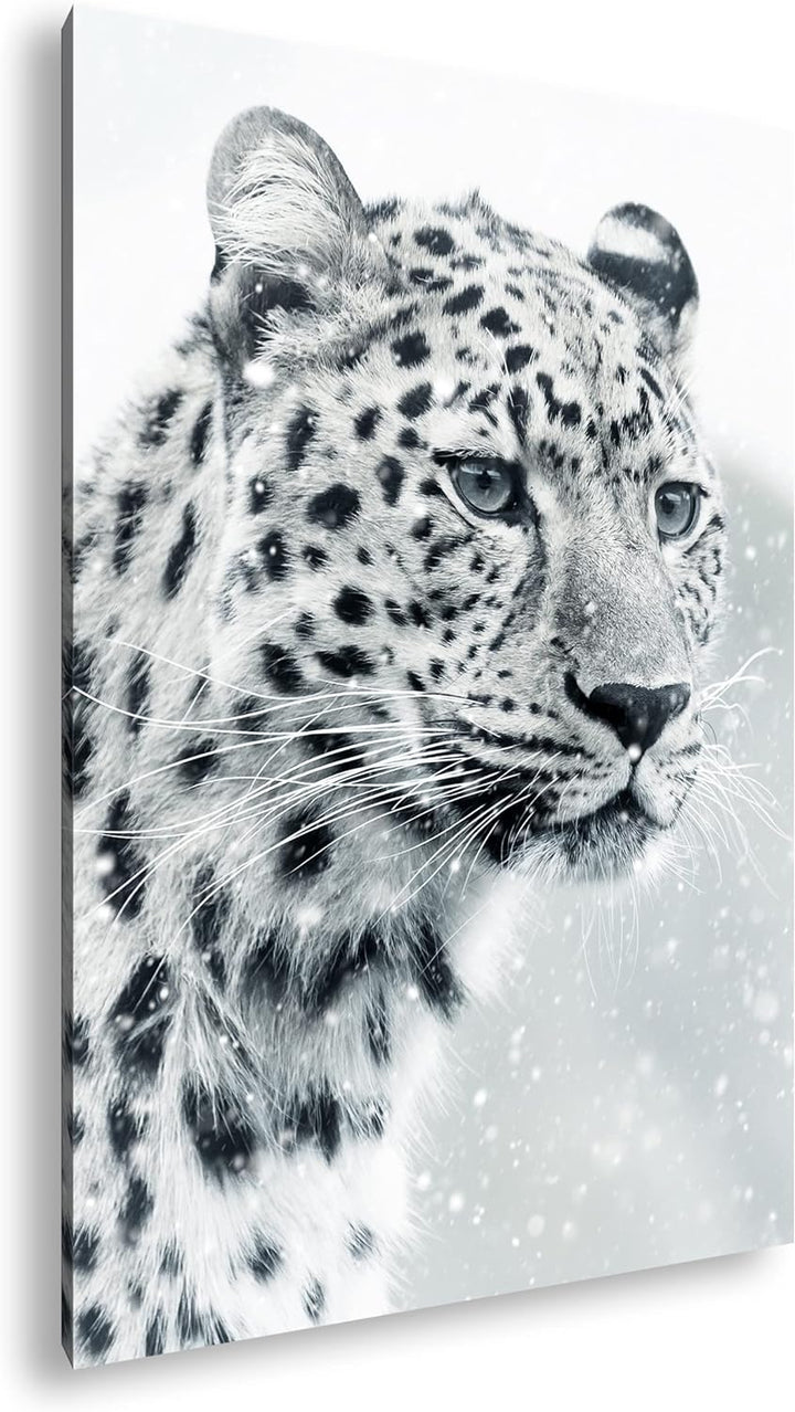 deyoli lauernder Leopard Format: 60x40 als Leinwand, Motiv fertig gerahmt auf Echtholzrahmen, Hochwe