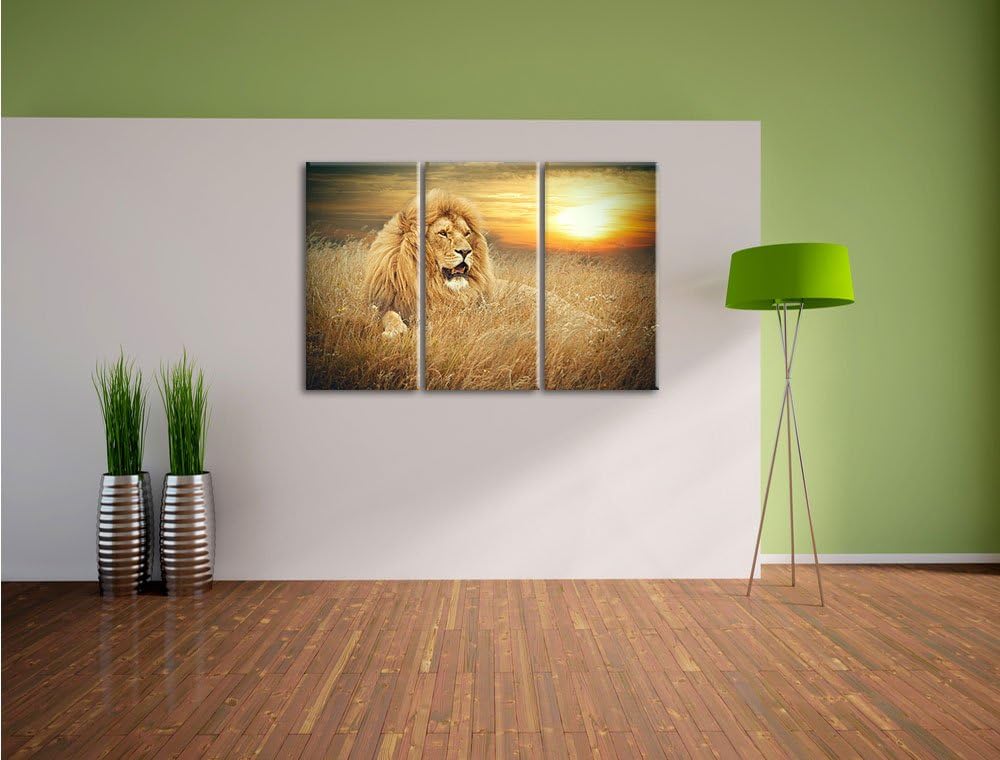 Pixxprint mächtiger Löwe als Leinwandbild/Grösse: 3 Teilig (120x80 cm) cm/Wandbild/Kunstdruck/fertig