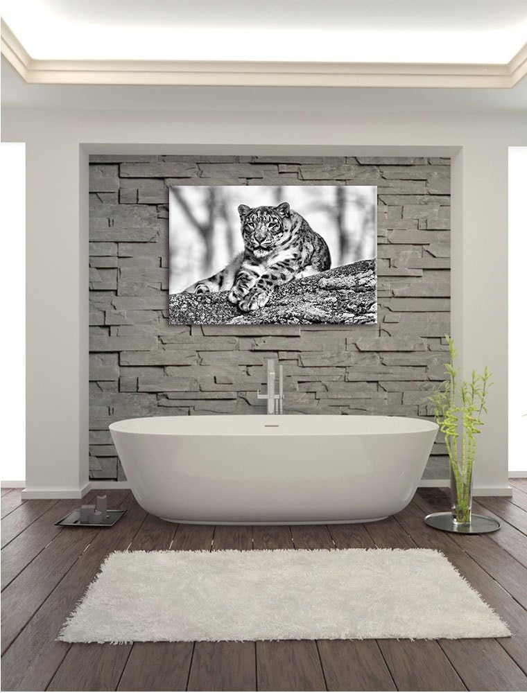 Pixxprint Schneeleopardin / 100x70cm Leinwandbild bespannt auf Holzrahmen/Wandbild Kunstdruck Dekora