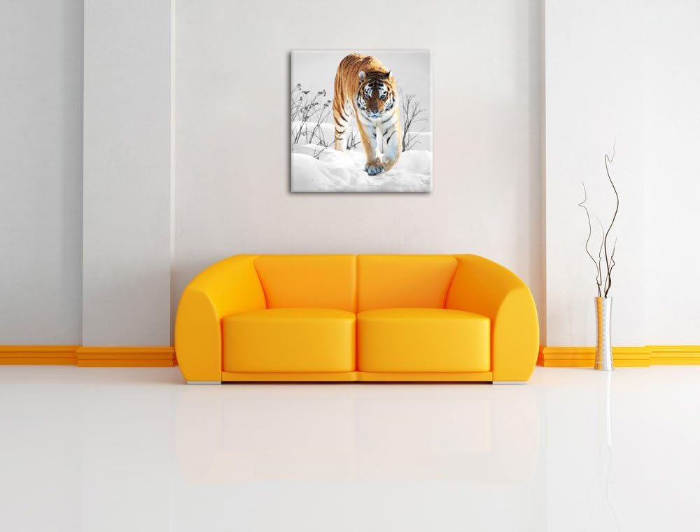 Pixxprint Grosser Wilder Tiger im Schnee als Leinwandbild/Grösse: 70x70 cm/Wandbild/Kunstdruck/ferti