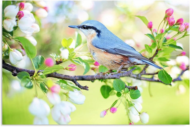 Feeby. Wandbilder - 1 Teilig- 60x80 cm - Bilder Kunstdrucke Deko Panel, VOGEL, NATUR, BLAU, GRÜN, 60