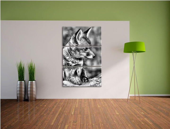 Pixxprint junger Fuchs als Leinwandbild/Grösse: 3 Teilig (120x80) / Wandbild/Kunstdruck/fertig bespa