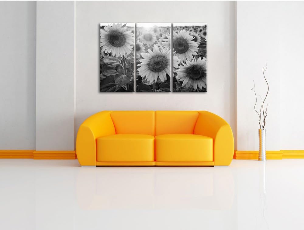 Pixxprint Sonnenblumen auf dem Feld als Leinwandbild | Grösse: 3 Teilig (120x80) | Wandbild| Kunstdr