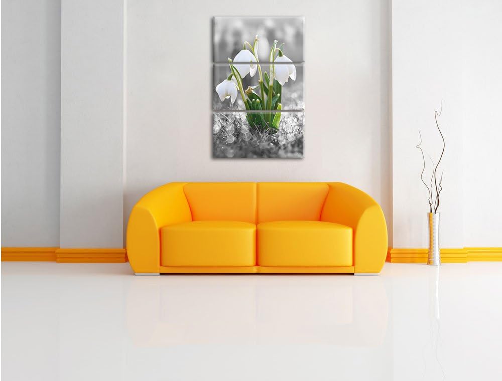 Pixxprint schöne Schneeglöckchen im Morgentau als Leinwandbild/Grösse: 3 Teilig (120x80) cm/Wandbild