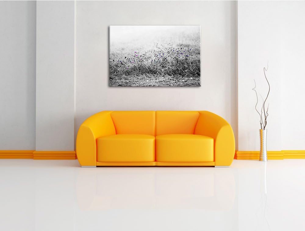 Distel Feld im Retro Look schwarz/weiss Format: 100x70 auf Leinwand, XXL riesige Bilder fertig gerah
