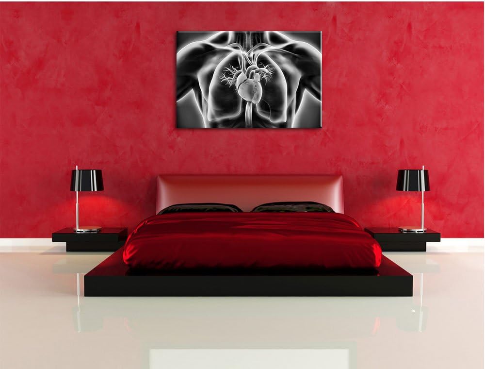 Pixxprint Herz des Menschen / 100x70cm Leinwandbild bespannt auf Holzrahmen/Wandbild Kunstdruck Deko