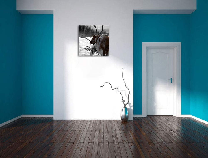 Pixxprint Rentiere im Schnee schwarz/weiss, Format: 70x70 auf Leinwand, 70x70