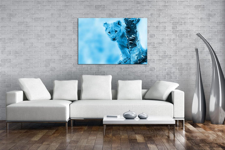 niedliches Löwenbaby in der Natur Format 80x60 Effekt: Monocrome Blau als Leinwandbild, Motiv fertig