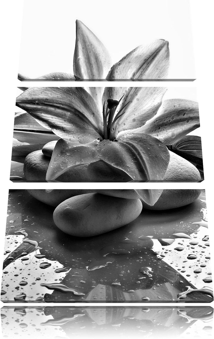 Pixxprint Blaue Lilie und Tulpe als Leinwandbild/Grösse: 3 Teilig (120x80) cm/Wandbild/Kunstdruck/fe