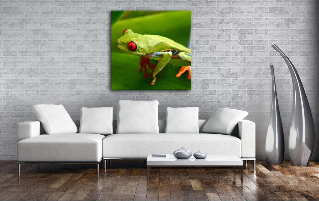 deyoli Exotischer Grüner Frosch mit roten Augen Format: 70x70 als Leinwandbild, Motiv fertig gerahmt